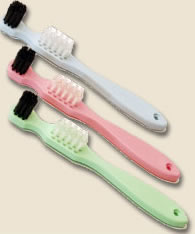 Wernet Denture brush